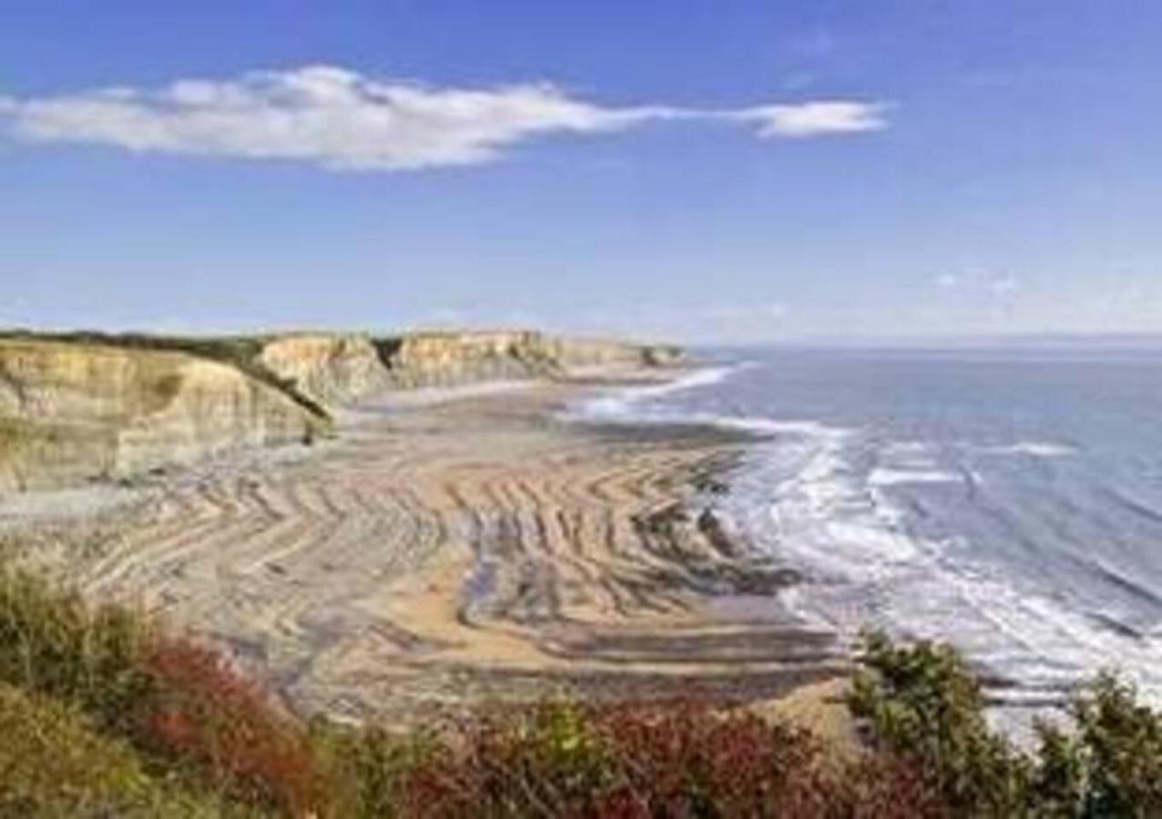 1-Bed Cottage On Coastal Pathway In South Wales Gileston Luaran gambar